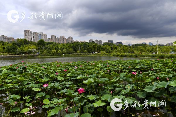 "双十一"冷空气套餐已发货！11月贵州降水将增加