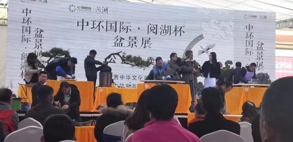 2019中国西部地区盆景联盟成立 当天拍卖金额2.75万元