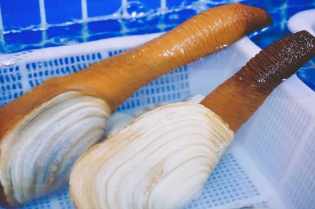「那都不是锅」港式打边炉火锅贵阳旗舰店试营业啦!全单8.8折