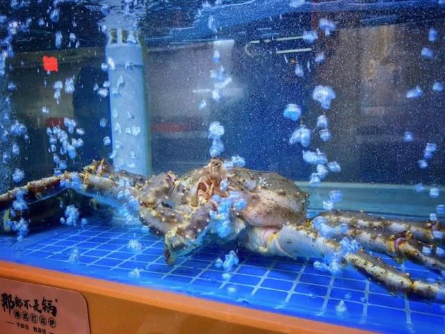 「那都不是锅」港式打边炉火锅贵阳旗舰店试营业啦!全单8.8折