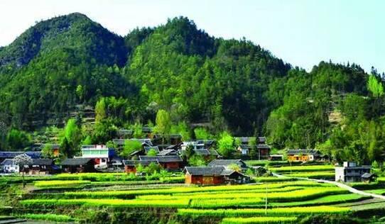 全国 200 个小城上榜,贵州道真入围“百佳深呼吸小城”