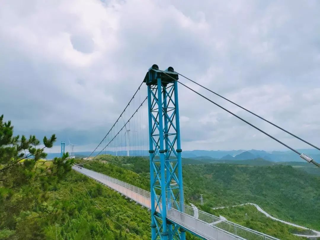 三月去哪玩？带上你爱的TA，龙里油画大草原赏美景！