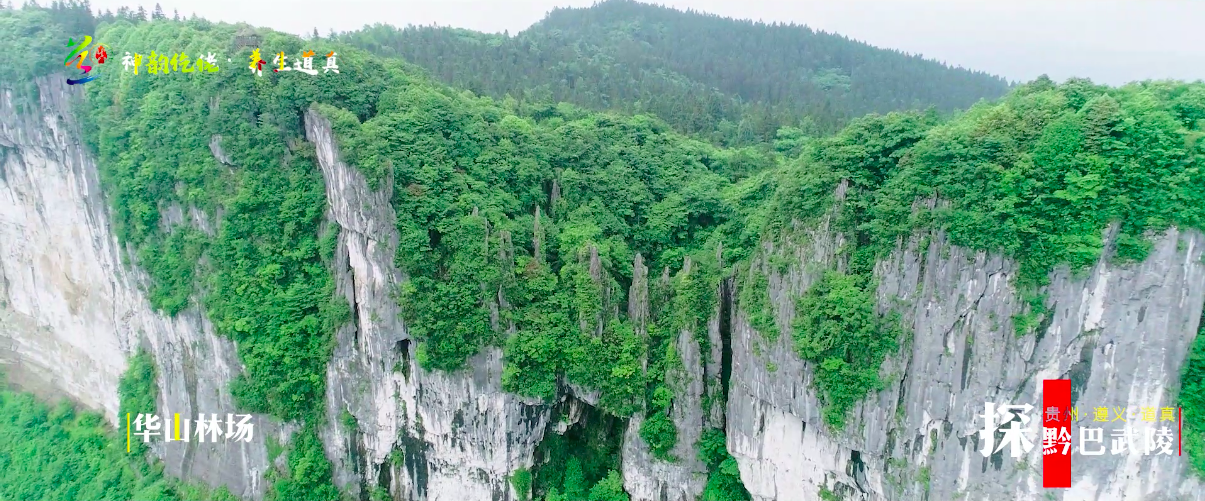 道真“一把手当主播”带您开启一段难忘的夏日避暑之旅！