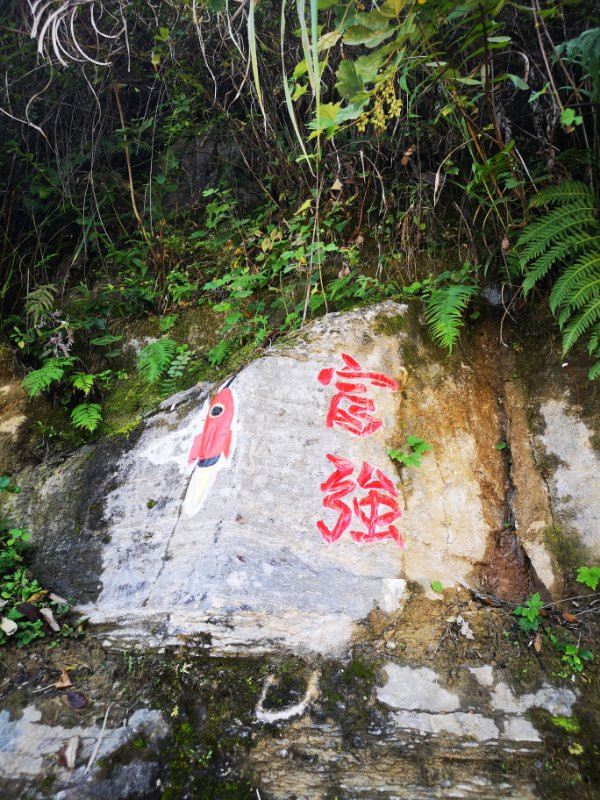 沿河县中寨镇有“疯狂的石头” 社会 第1张