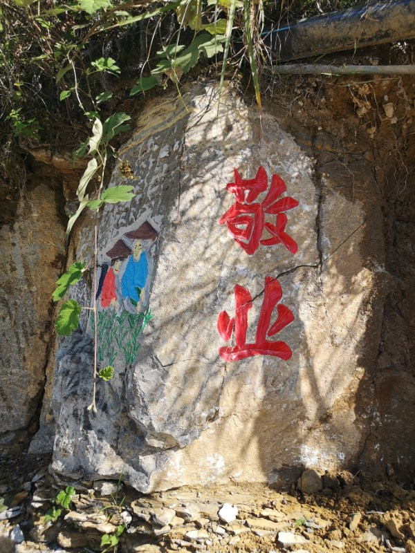 沿河县中寨镇有“疯狂的石头” 社会 第10张