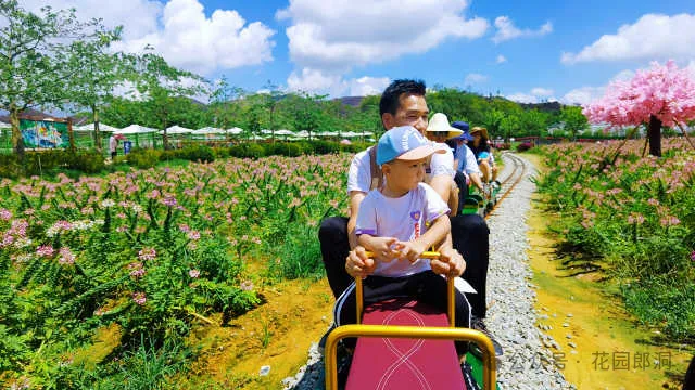 2024镇远第二届“花园郎洞·百万玫瑰”花海旅游季开幕在即！-31