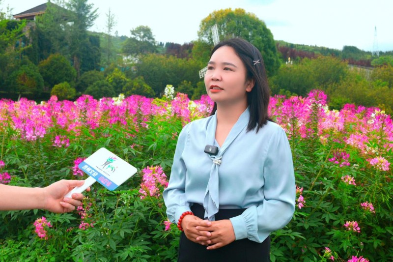 从 “拍照打卡” 到 “旅居慢生活”：大河堡花海解锁贵州山地避暑新体验-6