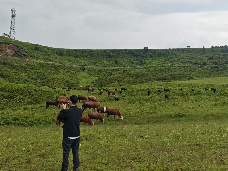 金融服务暖民心 农业银行深人田间地头助力乡村振兴-2