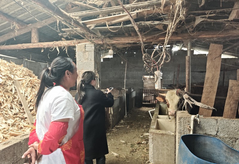 金融服务暖民心 农业银行深人田间地头助力乡村振兴-3