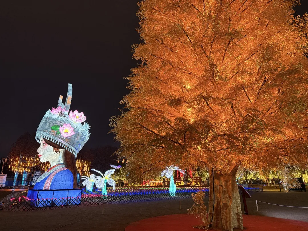 贵阳观山湖灯会庙市情人节上演浪漫烟花秀-9