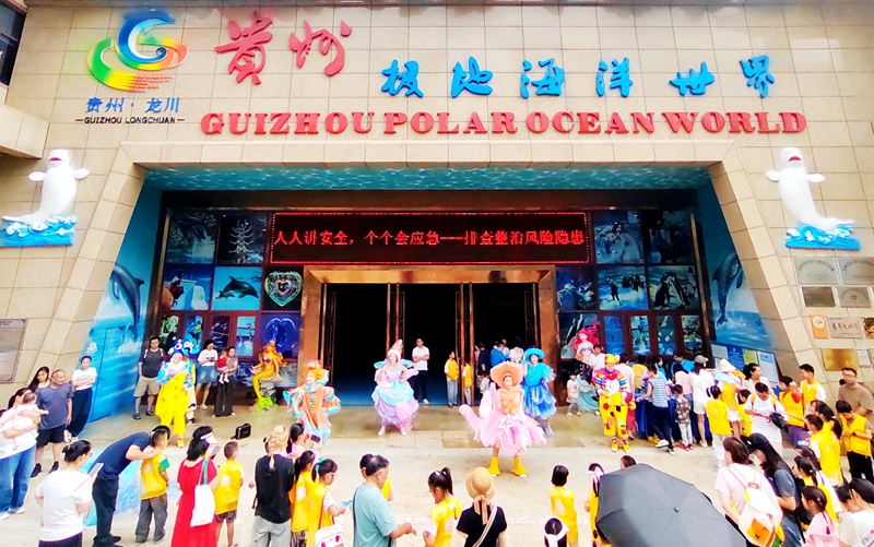 多彩贵州城极地海洋世界成功繁育三只小海豚,全网征名正式启动!-1 多彩贵州城极地海洋世界成功繁育三只小海豚,全网征名正式启动!-1